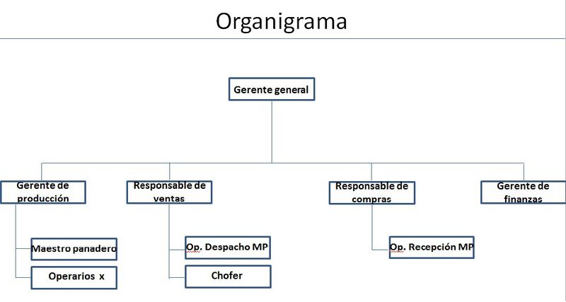 Archivo:Organigramagrupo11.jpg