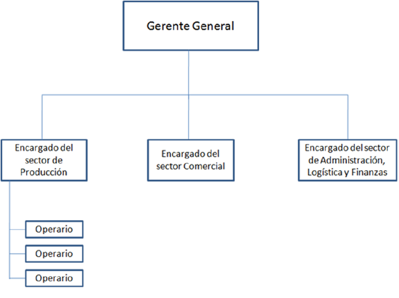 Archivo:Punto 6 Organigrama de la empresa.png