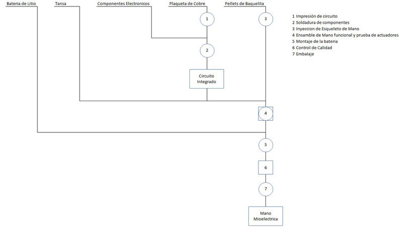 Archivo:Cursograma Sinoptico Proceso.jpeg