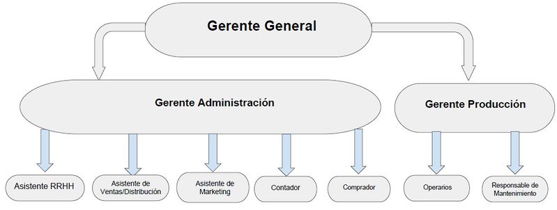 Archivo:Organigrama anteojos.jpg