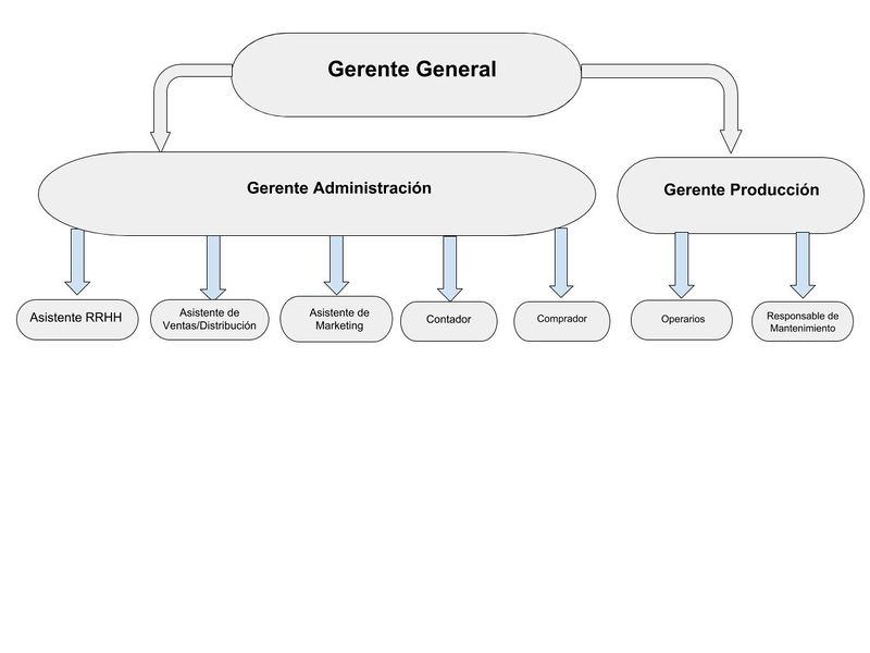 Archivo:Organigrama.jpg