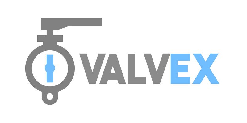 Archivo:Valvex.jpg