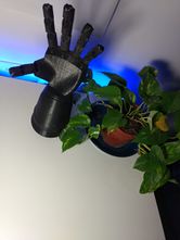 Prototipo