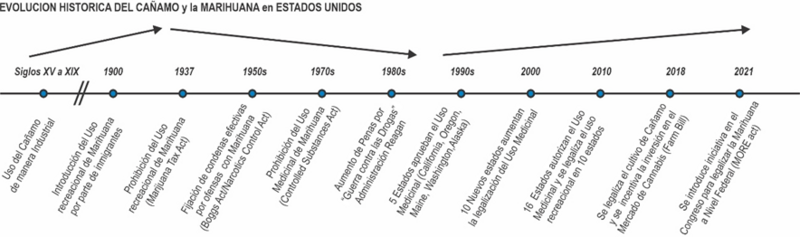 Archivo:Evolicion Histórica.png