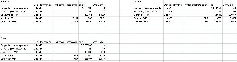 Archivo:Realizar el cuadro resumen del programa general de evolución 2.jpg