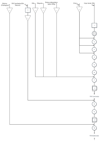 Archivo:CSP (1).png