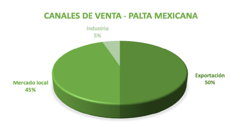 Archivo:Canales de Venta de Palta Mexicana.png