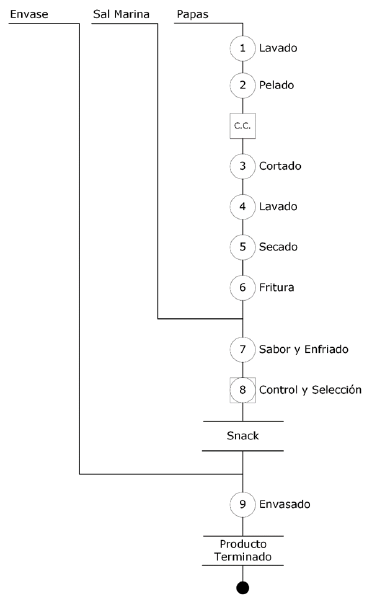 Archivo:Diagrama del proceso.png